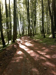 10957188_828888037146545_7711081990771768124_o