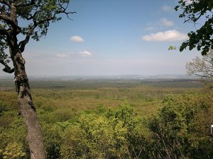 10957188_828888040479878_8357206187613243744_o