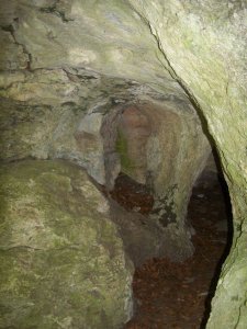 11076762_828917393810276_6218515490269333830_o