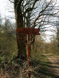 11150230_821892177846131_5240870668328456792_n