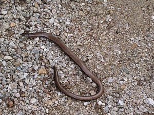 10999854_835546893147326_714969048076412934_o