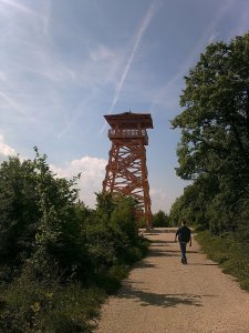 10999854_835546896480659_6745564916478614161_o