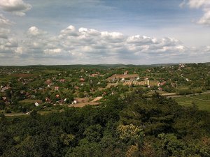 11194633_833554330013249_6907195380244773993_o