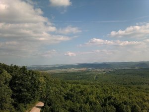 11289601_835548816480467_2210778869852640970_o