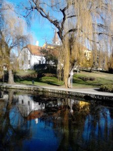 12495044_937785296256818_6382976634806496163_n