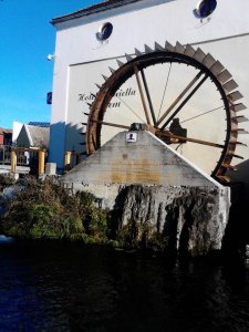 12524290_937785989590082_5920295191539774852_n