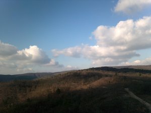 DSCF0301